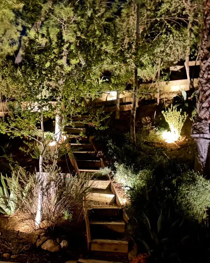 Hillside Landscape Lighting — Agoura Hills, CA (photo 2)