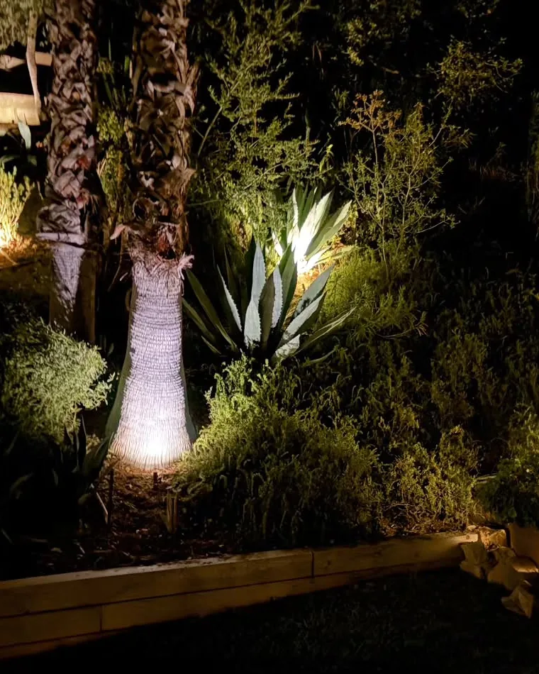Hillside Landscape Lighting — Agoura Hills, CA (photo 3)