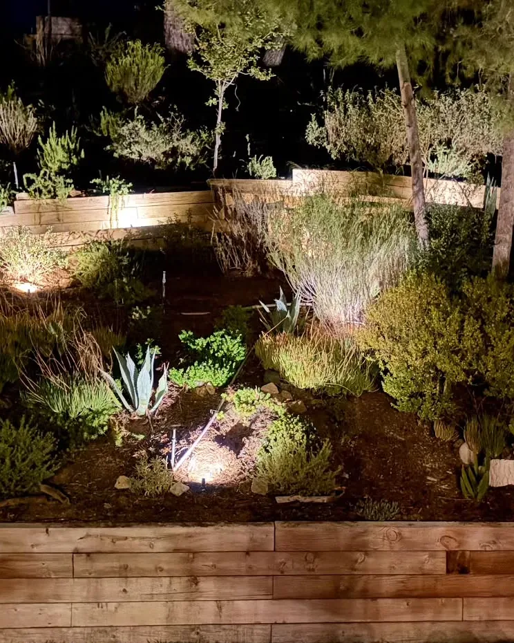 Hillside Landscape Lighting — Agoura Hills, CA (photo 4)