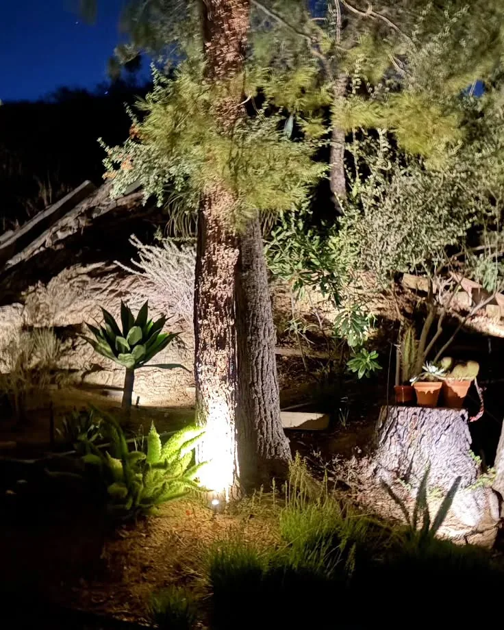 Hillside Landscape Lighting — Agoura Hills, CA (photo 5)